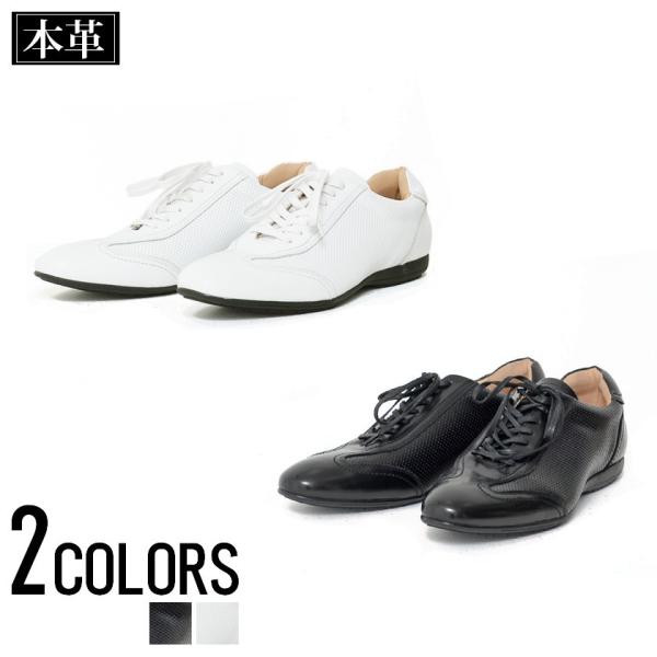 [XAbvV[Y Y SARABANDE Toh p`OU[[XAbvV[Y/S2F   zCg ubN hXV[Y