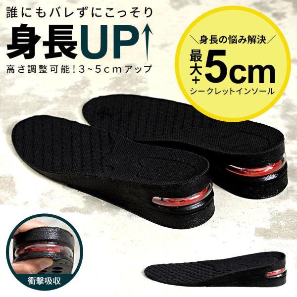 シークレットインソールの人気商品 通販 価格比較 価格 Com