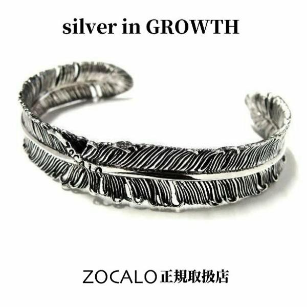 silveringrowth_zzbas-0005 silveringrowth_zzbas-0005
