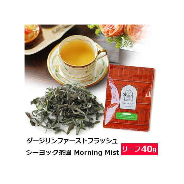 紅茶 茶葉 ダージリン ファーストフラッシュ 2026年 シーヨック茶園 FTGFOP1 Morning Mist 40g / 春摘み