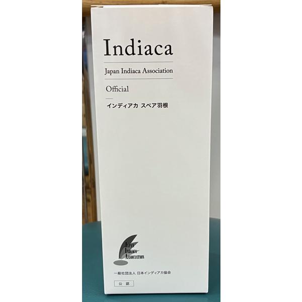 MIZUNO（ミズノ） インディアカ スペア羽根 C6JLA30205 レクレーション