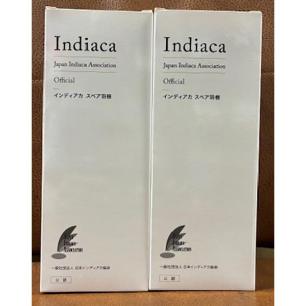 ミズノ インディアカ スペア羽根 C6JLA30205  2個セット レクレーション 地域スポーツ ★2200