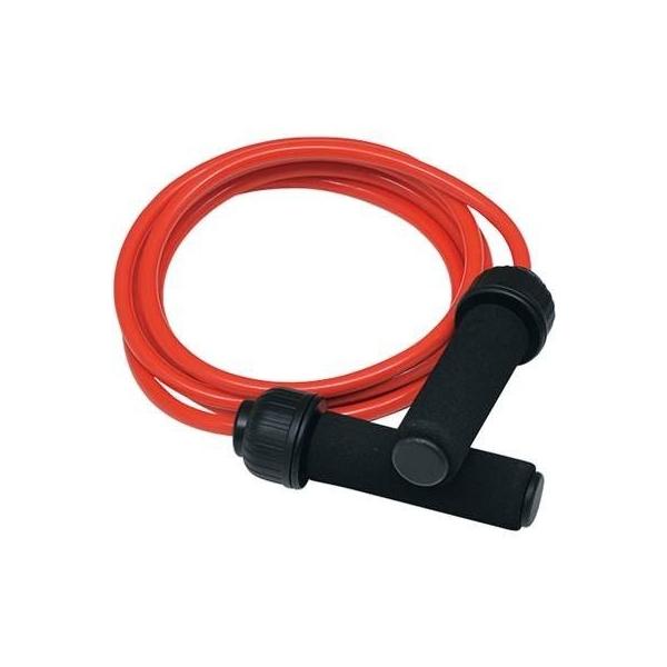 g[GCCg wr[Wv[v470 H-7254 g[jO g[jOObY XgX ^s ȂƂ wZ̈pi