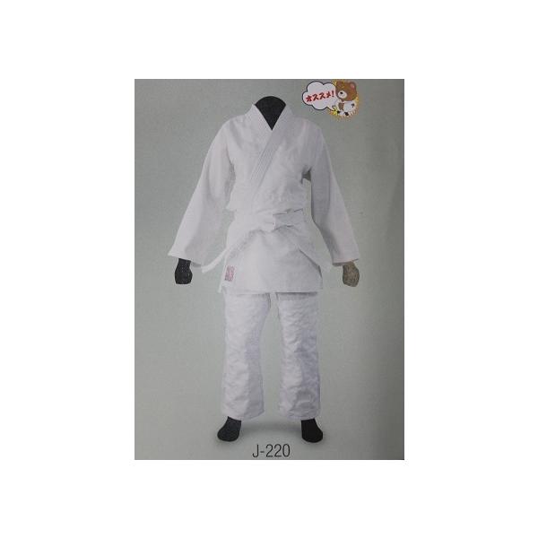 R wEZ_߁iѕtjJ-220 _ Kp ̈ Ɨp@ȃ|GXea 13300