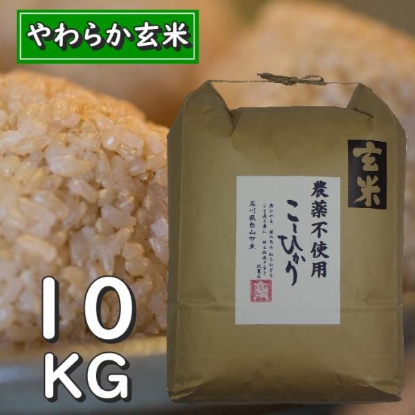 コシヒカリ お米 10kg 玄米 玄米食用 令和7年産 2025年産 石川県白山市 