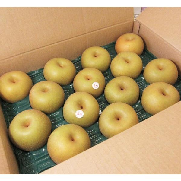 ［つるのたまごさん専用］呉羽梨　幸水　12玉サイズ　5kg 027 つるのたまごさん専用］呉羽梨 幸水 12玉サイズ 5kg 027 家庭用