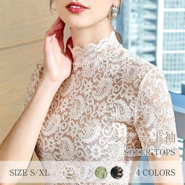 シアートップス ハイネック 半袖 トップス レイヤード レース カットソー レディース インナーウェア ハイネック タートルネック tシャツ 春 夏 長袖 タ