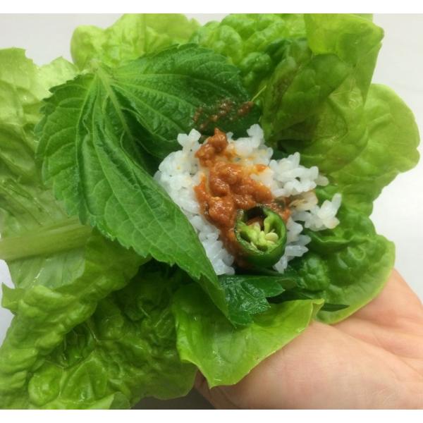 サニーレタス サンチュ １ケース ２００枚 サンギョップサル バーベキュー 韓国野菜 焼肉 0003 手作りキムチ専門店 通販 Yahoo ショッピング
