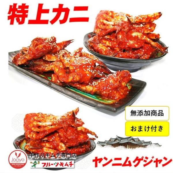 ケジャン カニ ヤンニョムケジャン 1ｋｇ 甘辛口 送料無料 ★おまけ付き  無添加商品 信濃ケジャン 渡りカニ 雄カニ 蟹 かに カニ 渡り蟹