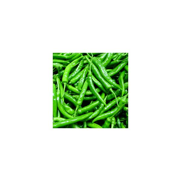 hq  ؍Y 300 o[xL[ ē TMbvT t[cL` L`X