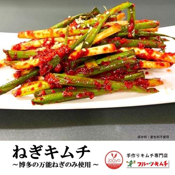 ネギキムチ 葱キムチ ★おまけ付き 博多の万能ねぎキムチ 500g 手作りキムチ専門店 フルーツキムチ ねぎキムチ  博多の万能ねぎのみ使用 新鮮 発送日に製造完成