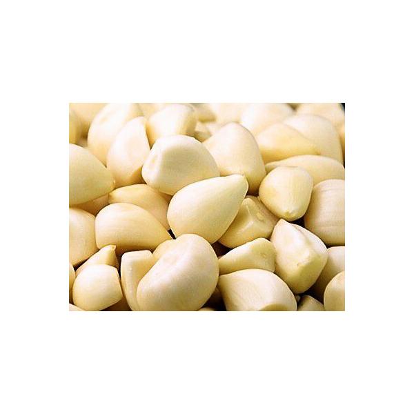 ɂɂ ނɂɂ Ɩp IʃTCY 1P[X 1×10 t[cL` L`X