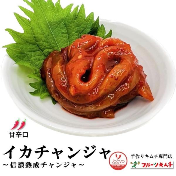 イカチャンジャ ★おまけ付き 甘辛口 1ｋｇ 500ｇ×2個 送料無料 いかチャンジャ 1ｋｇ 手作りキムチ専門店 韓国産 イカ いかの塩辛 厳選直輸入