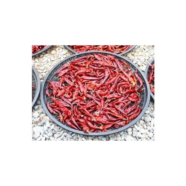 鷹の爪赤唐辛子天鷹乾燥香辛料調味料スパイス100ｇ Buyee 日本代购平台 产品购物网站大全 Buyee一站式代购bot Online