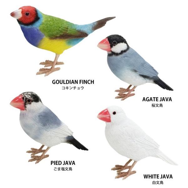 文鳥 コキンチョウ Birdie Bill バーディ ビル リアル フィギュア マグネット Buyee 日本代购平台 产品购物网站大全 Buyee一站式代购 Bot Online