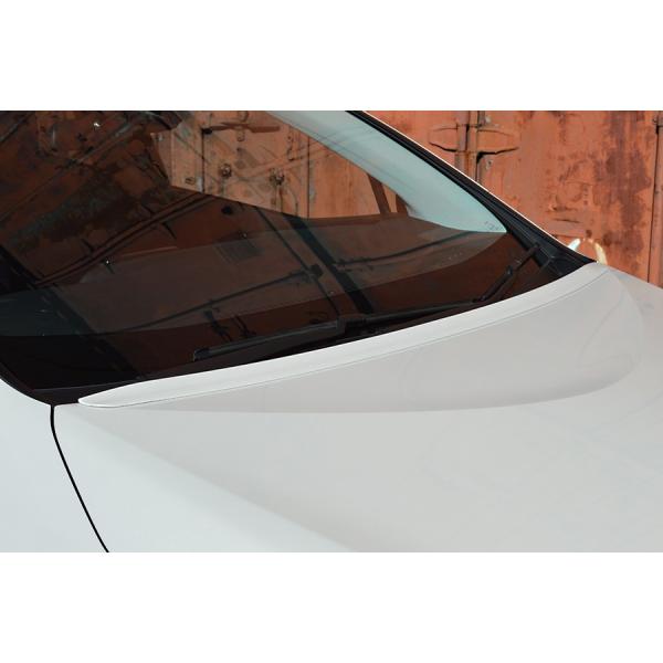 AVANZARE A@c@[ vEX PHV ZVW52 {lbgX|C[ PVC ADESSO Afb\