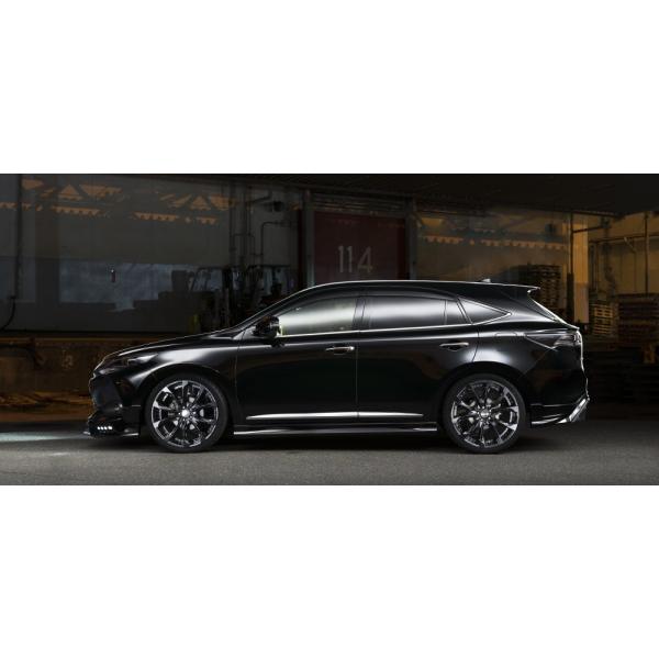 @h nA[ ZSU/AVU60n O TChXebv ABS h WALD SPORTS LINE X|[cC