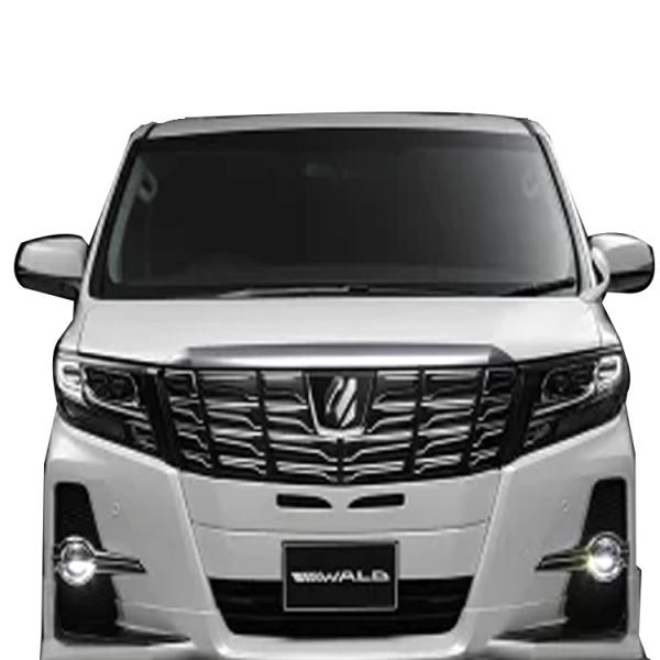 @h At@[h 30n(AGH/GGH3#W/AYH30W) OJo[ FRP h WALD SPORTS LINE X|[cC