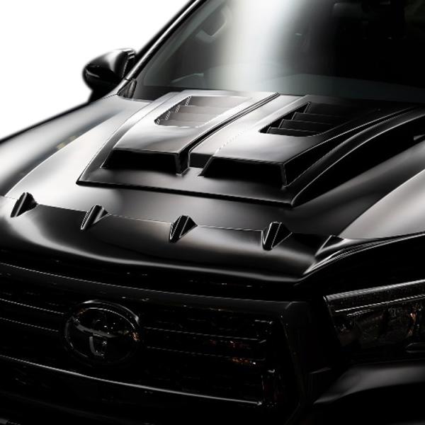 @h nCbNX GUN125 O {lbgZbg WALD SPORTS LINE BLACK BISON EDITION X|[cCubNGfBV