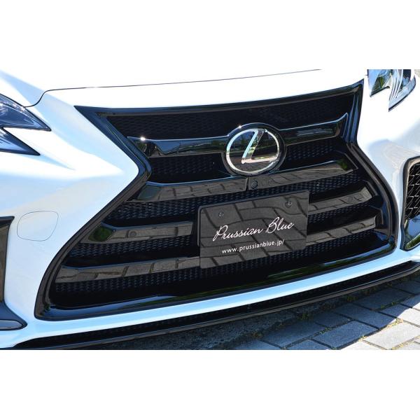 GYXs[h NTX VXFA50 VXFA55 tgO h 6522-4113 M'z SPEED Prussian Blue vV u[