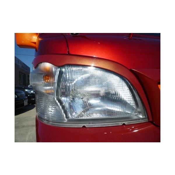 nC[bg gbN S201P S211P ACC h ăvf[X Novel mx