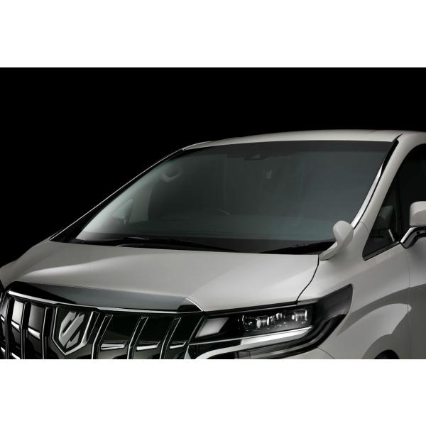 VNuCY At@[h Ft@CA 30n GGH AGH AYH3#  tgEBhEK[jbV 2P SILK BLAZE SB-FWG-30AV