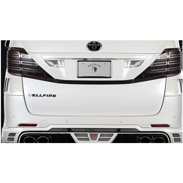 EF Ft@CA 20n ANH2#W GGH2#W O n[tX|C[ h 1T002P00 ROWEN PREMIUM Edtion v~AGfBV