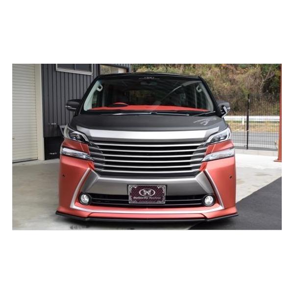 o^tCVXe Ft@CA 30n O tgtbvX|C[ FRP h Butterfly System  ZJhCpNg