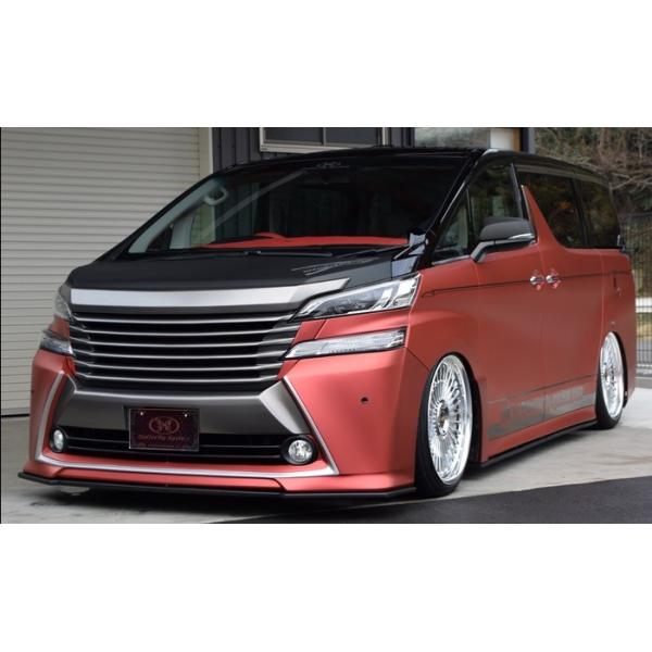 o^tCVXe Ft@CA 30n O TChtbv FRP h Butterfly System  ZJhCpNg