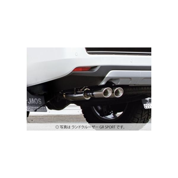 WIX hN[U[ 300n BATTLEZ }t[ ZS-2 B701051B JAOS