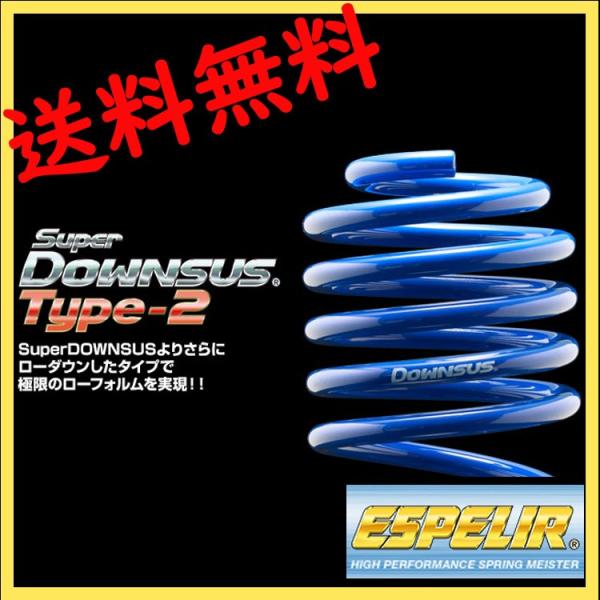 GXyA fCY[NX B21A C_[ XvO _ETX Zbg 1䕪 ESN-3145 X[p[_ETX ^Cv2 Super DOWNSUS Type2 ESPELIR