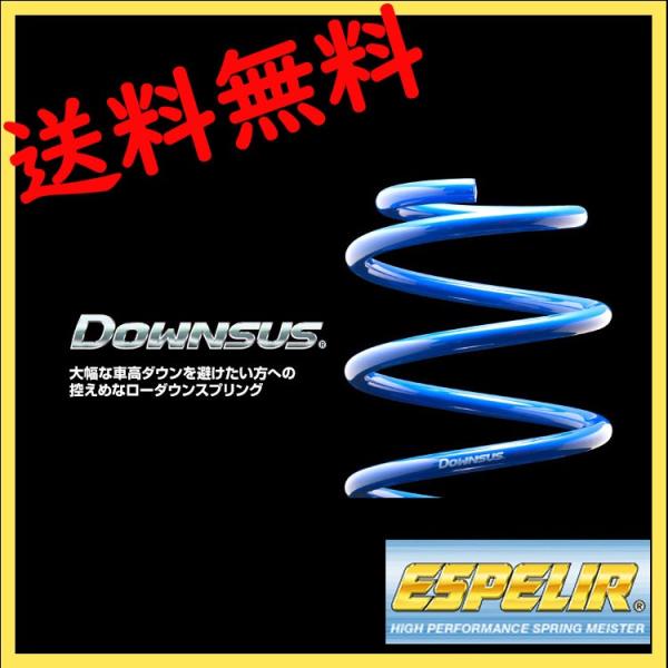 GXyA J[tB[_[ NZE141G X 202 XvO _ETX 1䕪 EST-2580 _ETX DOWNSUS ESPELIR