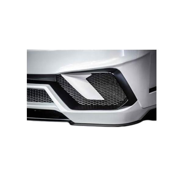 S A D JX^Wp nCG[X 200n 4^ _Nglbg h S.A.D CUSTOM JAPAN STINGER J XeBK[ WFC