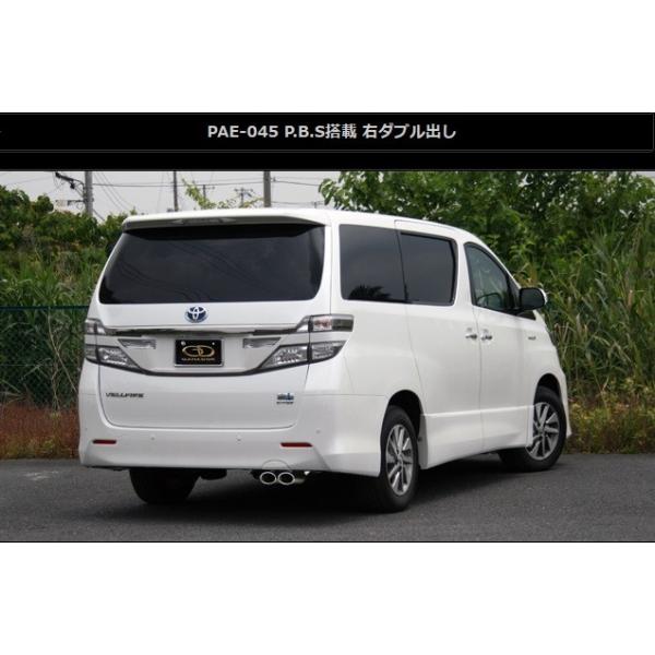 At@[h Ft@CA nCubh DAA-ATH20W }t[ PAE-045 GANADOR Kih[ PASION EVO