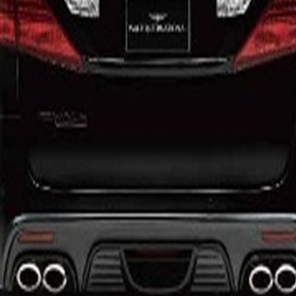 @h At@[h ANH20/25,GGH20/25 D.T.M X|[c}t[(OVAL120×2) XeX WALD Sports Line Black Bison Edition