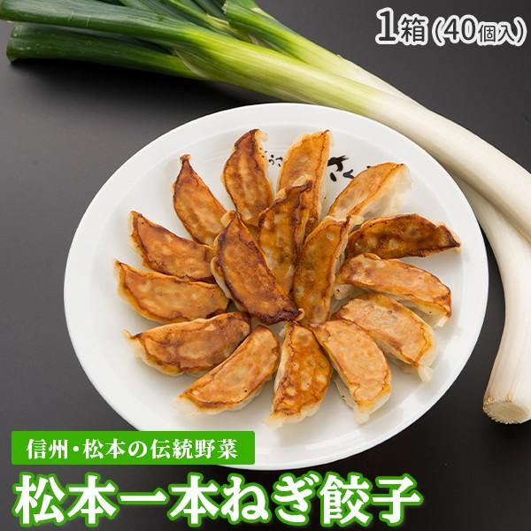 松本一本ねぎ 餃子 40個入 信州 伝統野菜 松本一本ねぎ を使ったギョーザ 信州 グルメ ご当地 お取り寄せ ニンニクなし 長野 松本 地産地商 N 信栄食品 ぎょうざのみせさくら 通販 Yahoo ショッピング