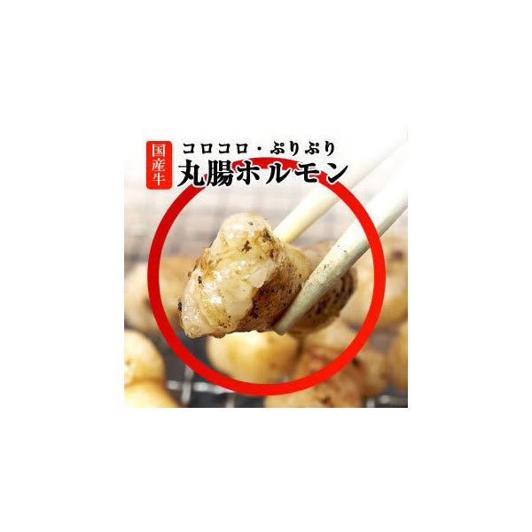 ホルモン 国産牛 丸腸 マルチョウ 0g コプチャン シロ こてっちゃん 国産 q バーベキュー 焼肉 Buyee Servis Zakupok Tretim Licom Buyee Pokupajte Iz Yaponii
