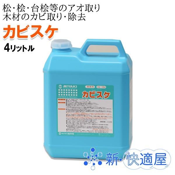 JrXP 4L / ̓Jr / ̃JrE / AOApÕAI / Ѓ~L / VK