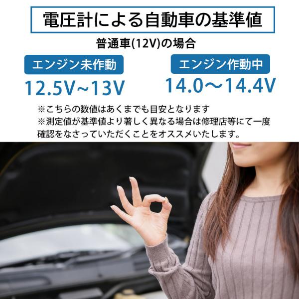 適切な価格 シガーソケット 電圧計 シガー デジタル電圧計 デジタル テスター バッテリーチェッカー 車 車内 カー デジタルテスター シガーライター 送料無料 Aynaelda Com