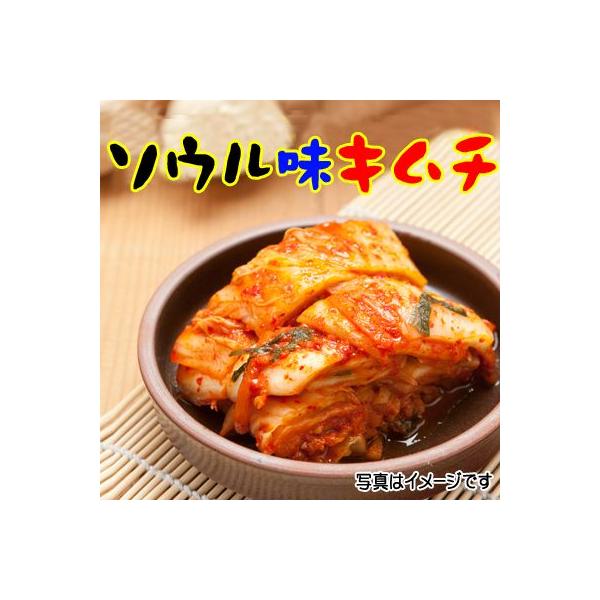 y①z\EL`@P@؍L`E{L`