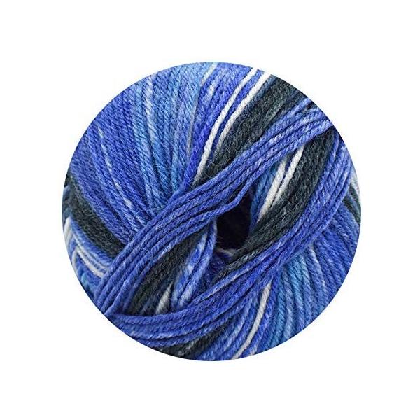 Kfs 編物キット 毛糸 Opal オパール 絆セット Kfs107 腹巻帽子の作り方 海 人気激安 輪針付き Kfs108 森