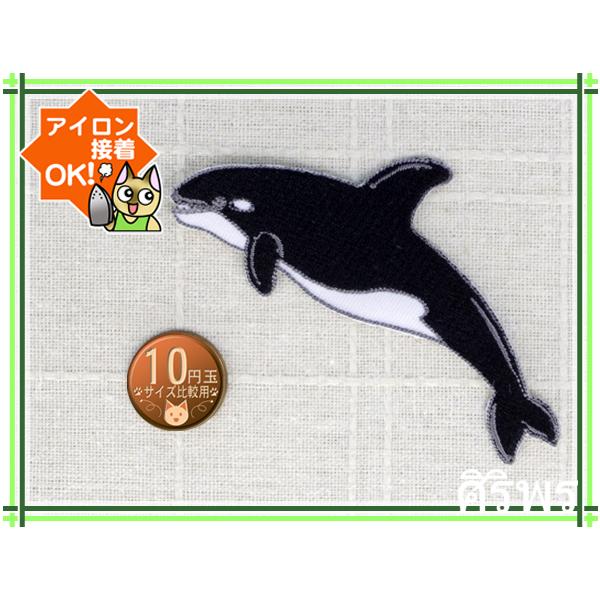 送料63円 シャチb ブルー アイロンワッペン 刺繍 アップリケ 水族館 オルカ イルカ クジラ Buyee Servis Zakupok Tretim Licom Buyee Pokupajte Iz Yaponii