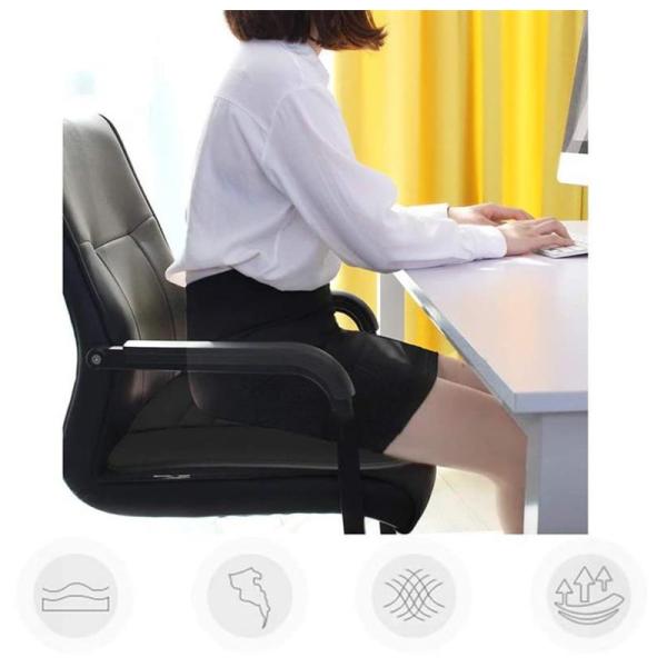 sirokumasutoa_25feb30czzd03_2_d_20250722155632