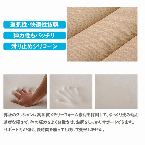 sirokumasutoa_25feb30czzd03_5_d_20250220175426