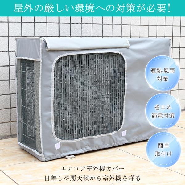 sirokumasutoa_25mar30ktfc01_2_d_20250319160834