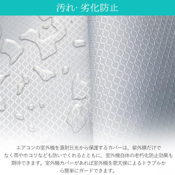 sirokumasutoa_25mar30ktfc01_5_d_20250319160834