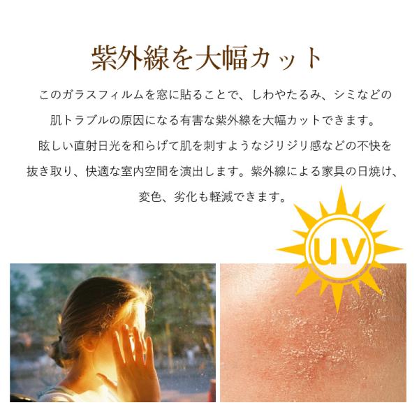 sirokumasutoa_30mar25blm01_5_d_20260305170757