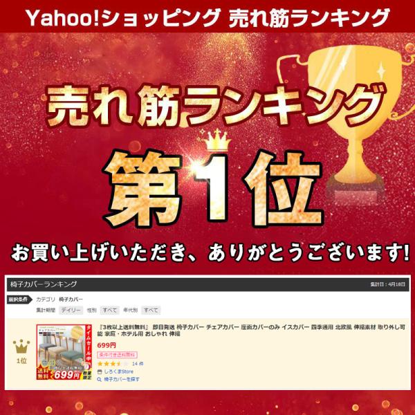 sirokumasutoa_hx21july28yt16_1