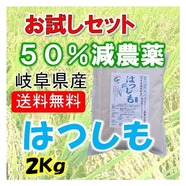 令和6年度 岐阜ハツシモ れんげ特別栽培米 Amazon.co.jp: パールライス 岐阜県産 白米 はつしも レンゲ特別