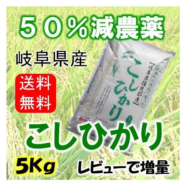 岐阜県産 コシヒカリの人気商品・通販・価格比較